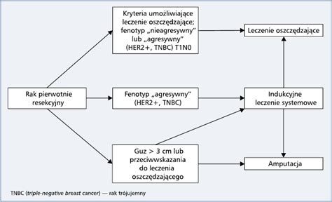 Rak Piersi Jassem Onkologia W Praktyce Klinicznej Edukacja