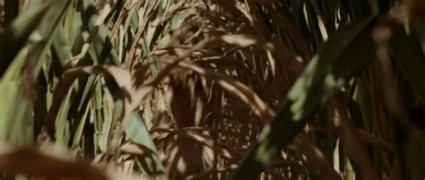 Nude Video Celebs Zuzanna Czerniejewska Nude Spojrz Na Mnie 2013