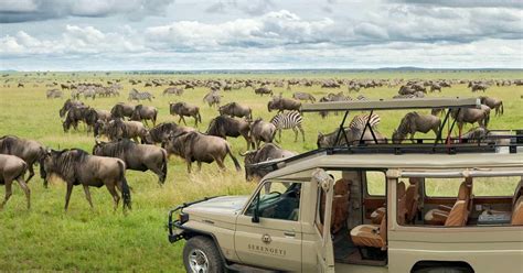 Tage Lake Manyara Ngorongoro Krater Safari Mit Einem X Jeep