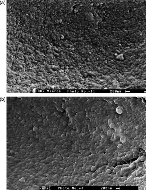 The internal structure of Amberlite XAD7: (a) before impregnation and... | Download Scientific ...