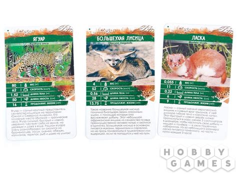 Секреты планеты: Хищники | Купить настольную игру в магазинах Hobby Games