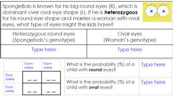 Bikini Bottom Genetics By Nerd Herd Tpt