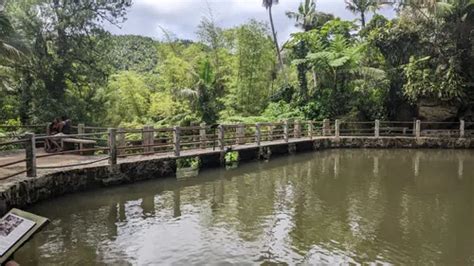 Best 10 Hiking Trails in El Yunque National Forest | AllTrails