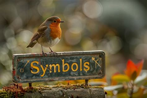 Red Robin Symbolism and Spitirual Meanings Debunked