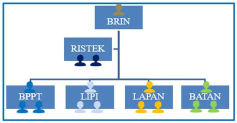 coordination structure  consolidation based  figure