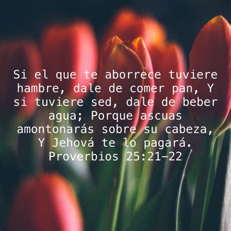 Proverbios 25 21 22 Si El Que Te Aborrece Tuviere Hambre Dale De Comer