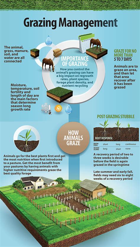 Turf Management For Golf Courses