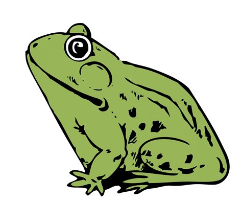 frog clipart  stock photo public domain pictures