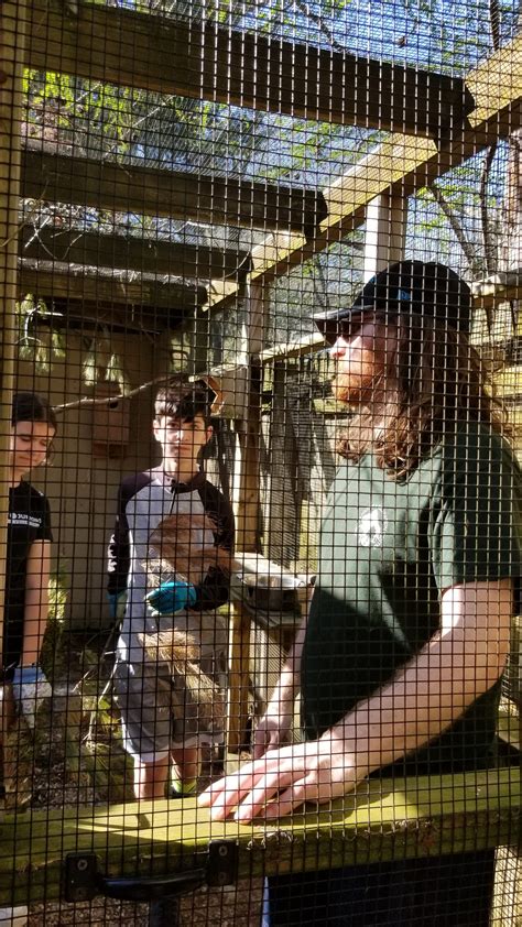 Junior Rangers – Ansonia Nature Center