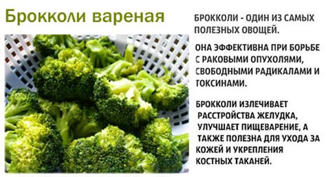Капуста брокколи варёная - калорийность, полезные свойства, польза и ...
