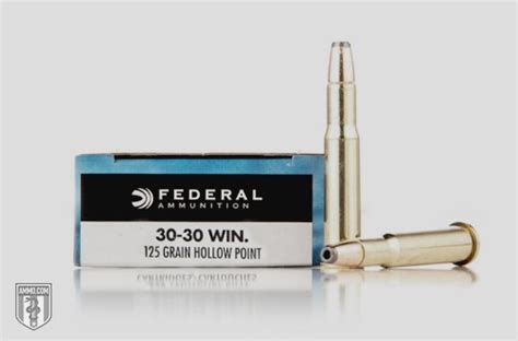 Hollow Point Ammo at Ammo.com: HP Explained