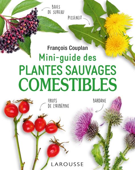 Mini Guide Des Plantes Sauvages Comestibles Hachette Fr