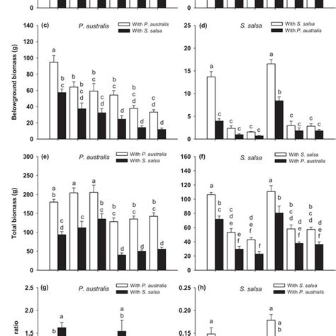 Aboveground Biomass Belowground Biomass Total Biomass And Rootshoot