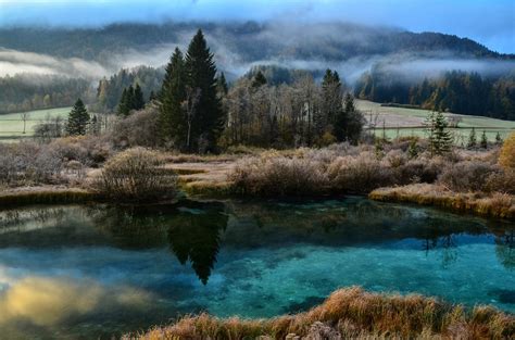 Visit And Explore The Zelenci Nature Reserve In Kranjska Gora Slovenia