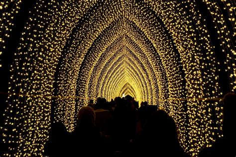 Kings Park To Transform Into A Winter Wonderland With Lightscape