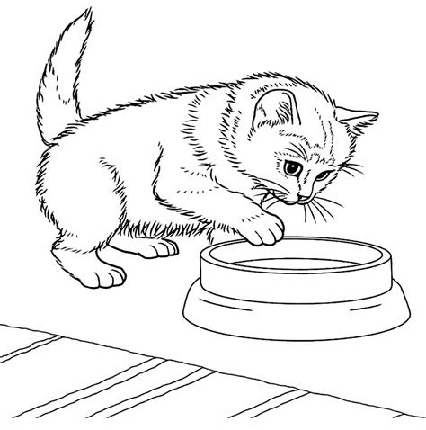 Desenhos De Gatinhos Para Colorir Dicas Pr Ticas