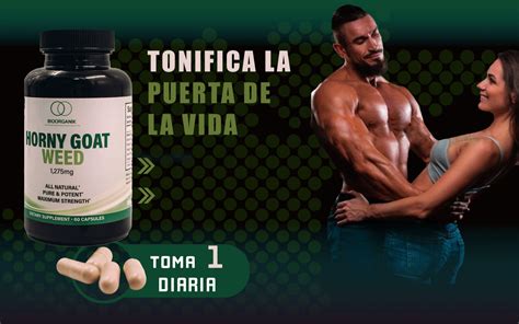 Horny Goat Weed Casa Center