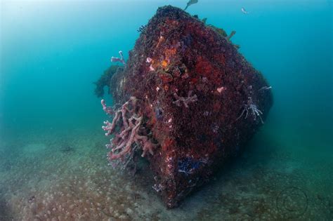 Mosman Underwater Larger Vessel Nicolas Terry Flickr