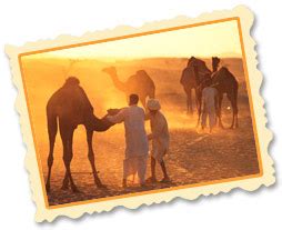 jaipur weather climate temperature rainfall  jaipur