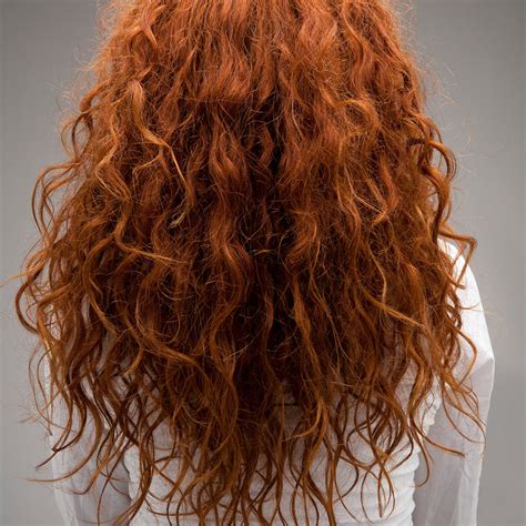 red portraits  true redheads  behance