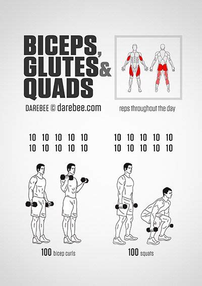 11 Best Quad Exercises With Dumbbells For Massive Quads Lift Big Eat