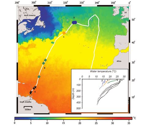 migration track   turtle showing  decrease  ocean