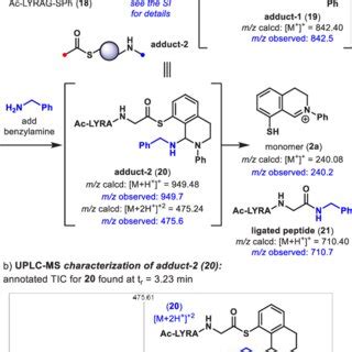 N S Acetal Dimer 2b Reacts With Thioester Peptide 18 To Form