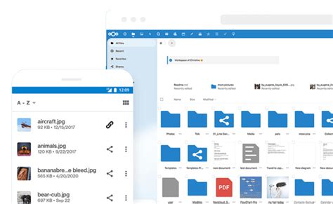 NEXTCLOUD DATEIEN Storage Share