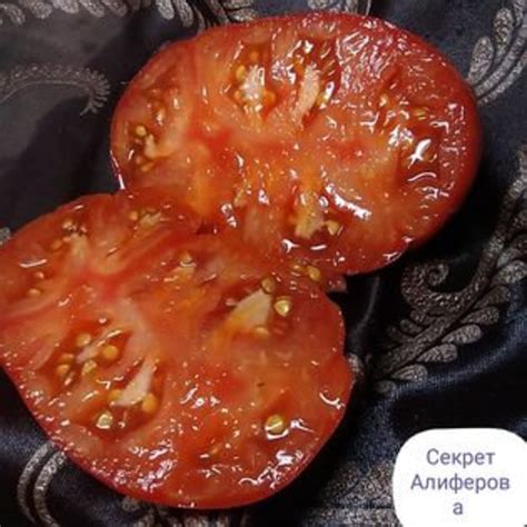 Alifirov's Secret Tomato Seeds From Kazakhstan - Etsy