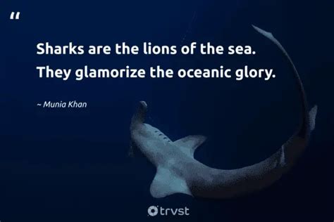 40 Shark Quotes About the Revered Predator of The Ocean (2024)