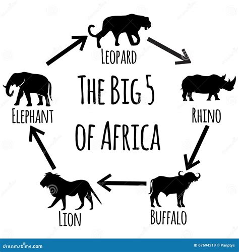 Africa`s Big Five Footprints Vector Illustration | CartoonDealer.com #139094410