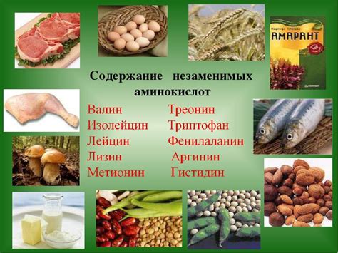 В каких продуктах содержится аминокислота лейцин?