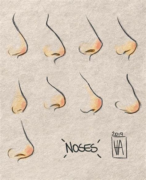 Nose Profile Drawing