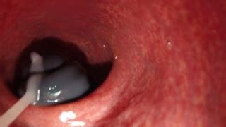 Free Camera Porn Videos From Thumbzilla