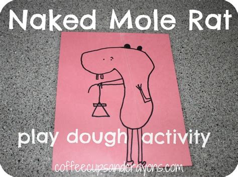 Naked Mole Rat Play Dough Activity Naked Mole Rat Playdough