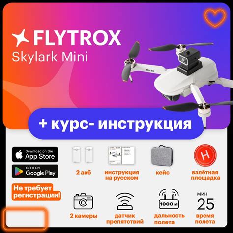 Квадрокоптер с камерой Flytrox Skylark, дрон с устройством облета ...