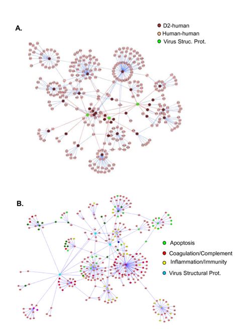 (A) Graphical representation of the interaction network from "figure ...