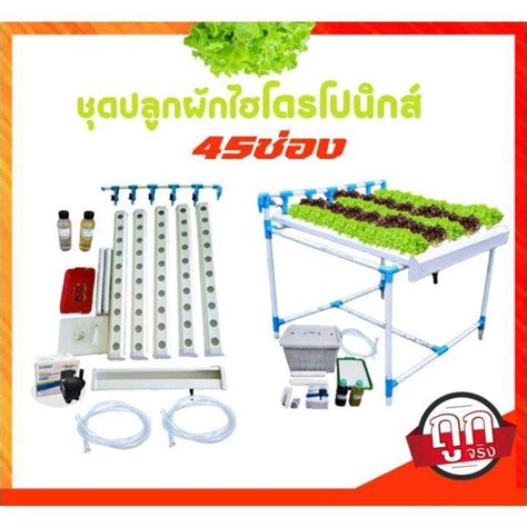 HOT สด พรอมสง ชดปลกผกไฮโดรโปนกส รน ชอง นำวน ราคาถก ชดปลกผกสลด Lazada co th