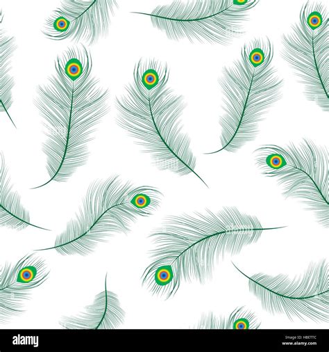 Peacock Feather Seamless Texture Peacock Feathers Background Feathers