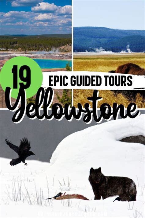 18 ABSOLUTELY Best Yellowstone Tours For 2024 - National Park Obsessed