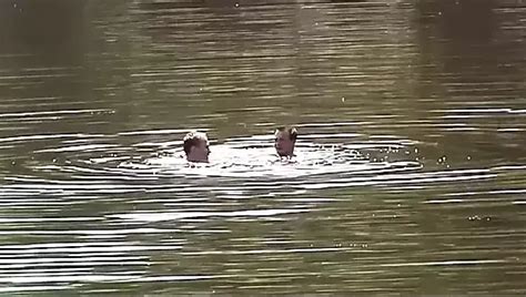 Shut Up And Fuck Me Hard Part Fully Remastered In HD Gay Condom Anal Porn XHamster