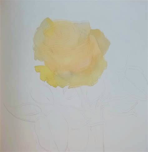 Фотоурок "Чайная роза" по книге "Цветы" Сергея Андрияки. Сохраняйте ...