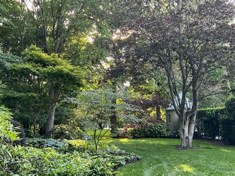 The davison fulton woodland chapel garden that offers peace 18