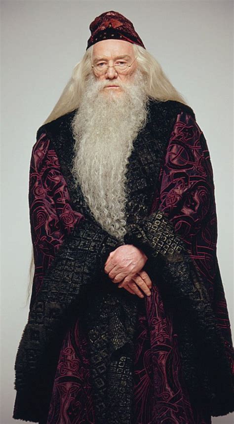 Albus Brumbal Harry Potter Wiki Fandom
