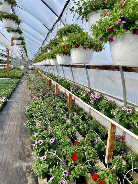 New garden center for b and q warehouse warrington opening soon