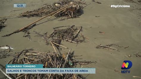 Galhos E Troncos Tomam Conta Da Faixa De Areia No Balne Rio Torneiro Em