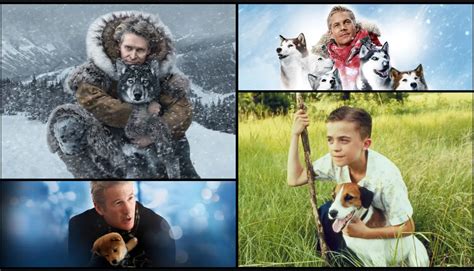 hachi  togo   dog movies inspired  true