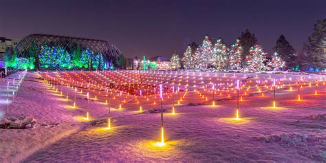 Denver Botanic Gardens Blossoms of Light | 2024-25 Nov-Jan Holiday ...