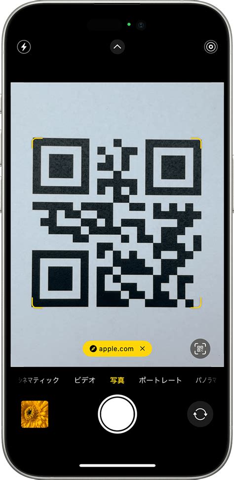 Iphone Qr