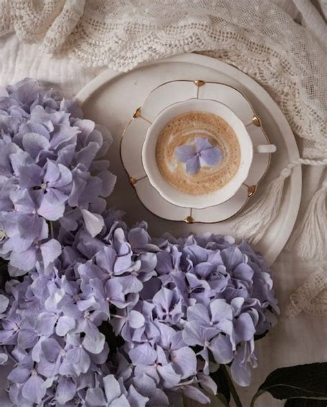 Pin By Naomi Kitaza On In Spring Coffee Purple Coffee